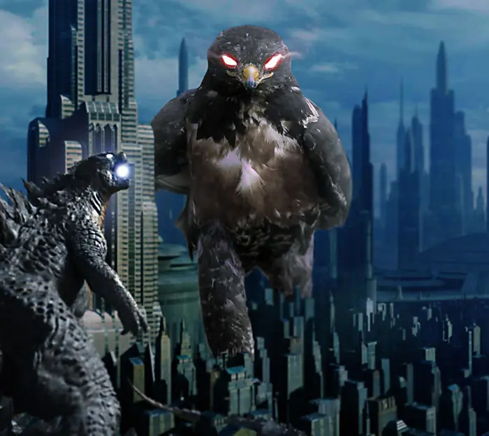 Este rudo halcón provocó la más épica batalla de Photoshop
