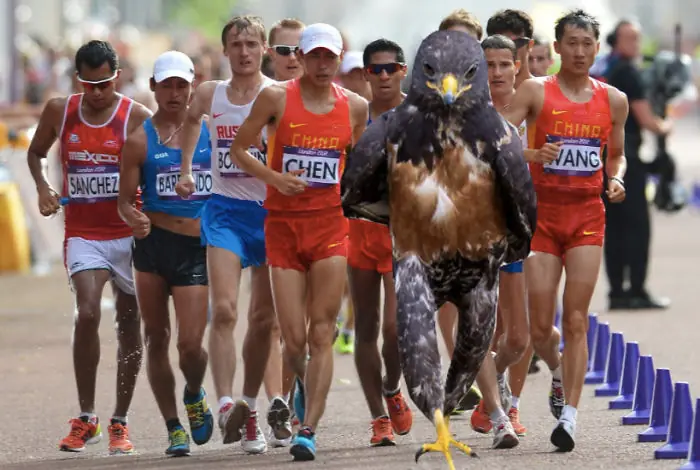 Batalla