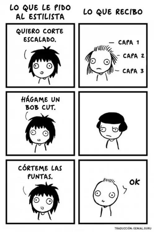 resumida