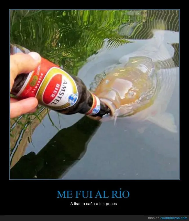 serias