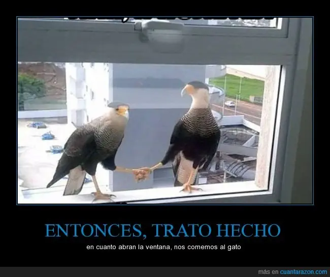cosas