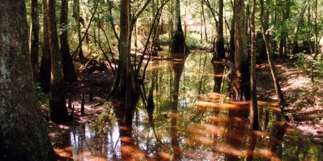 TOP 7: Los lugares más Tenebrosos del Mundo