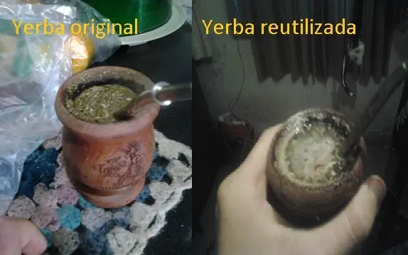 yerba