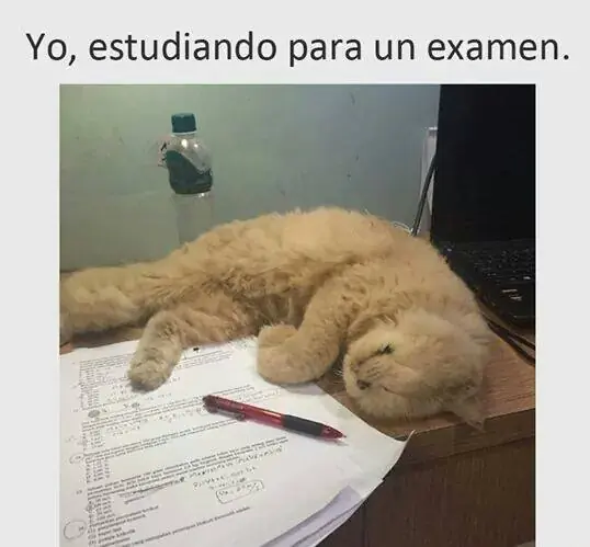 Imágenes de Humor para esta Tarde-Noche, No amargados
