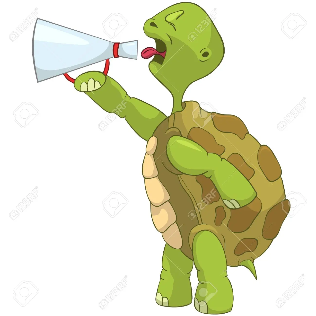 tortugas