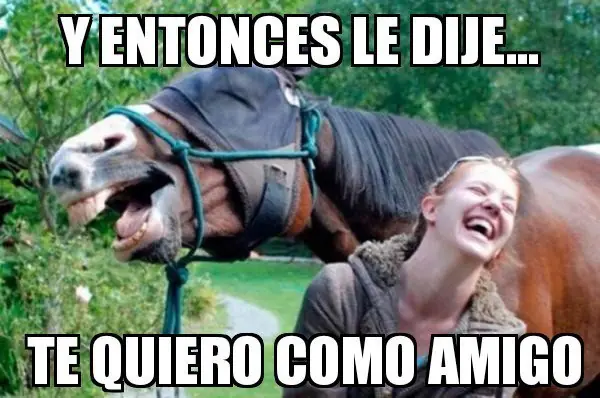 amiga