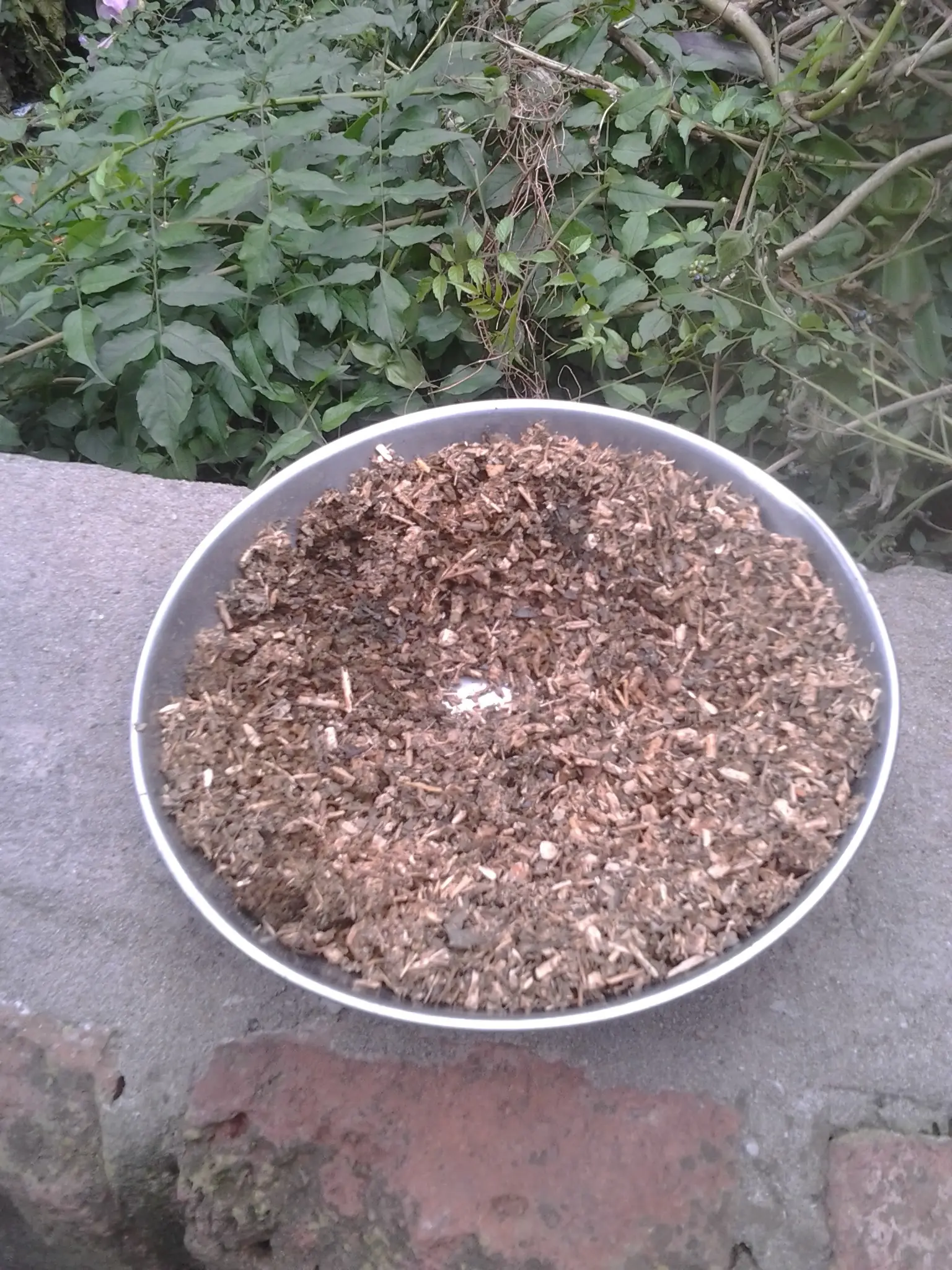 No podes comprar yerba? hace lo mismo que yo.