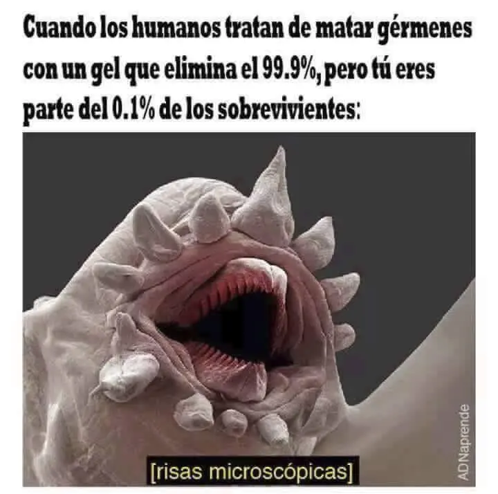 humor nocturno