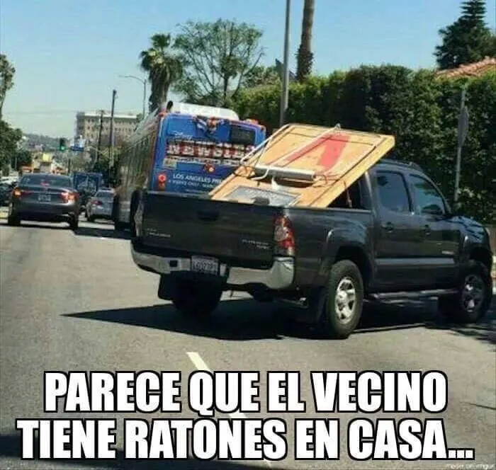 humor nocturno