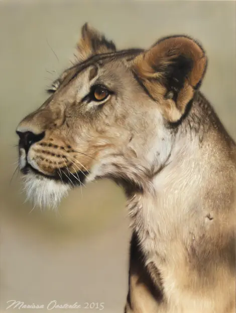 Pintura