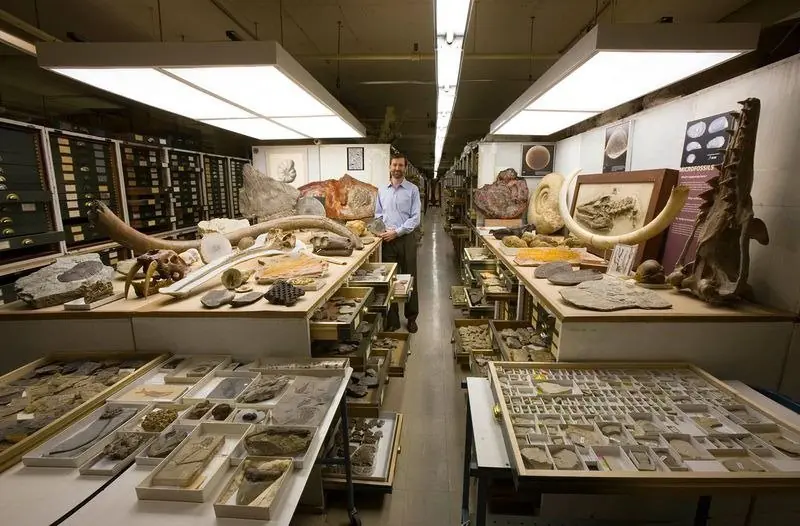 coleccion smithsonian coleccion smithsonian