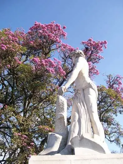 mujer mujer