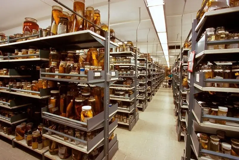 Smithsonian Smithsonian