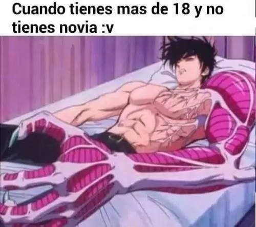 reite