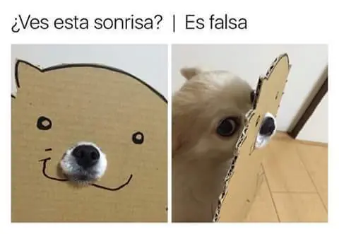 tarde