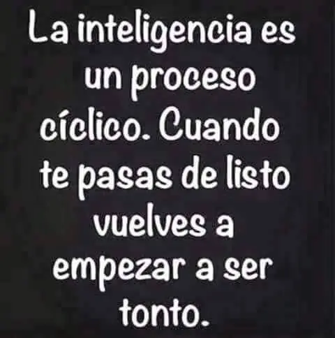reite