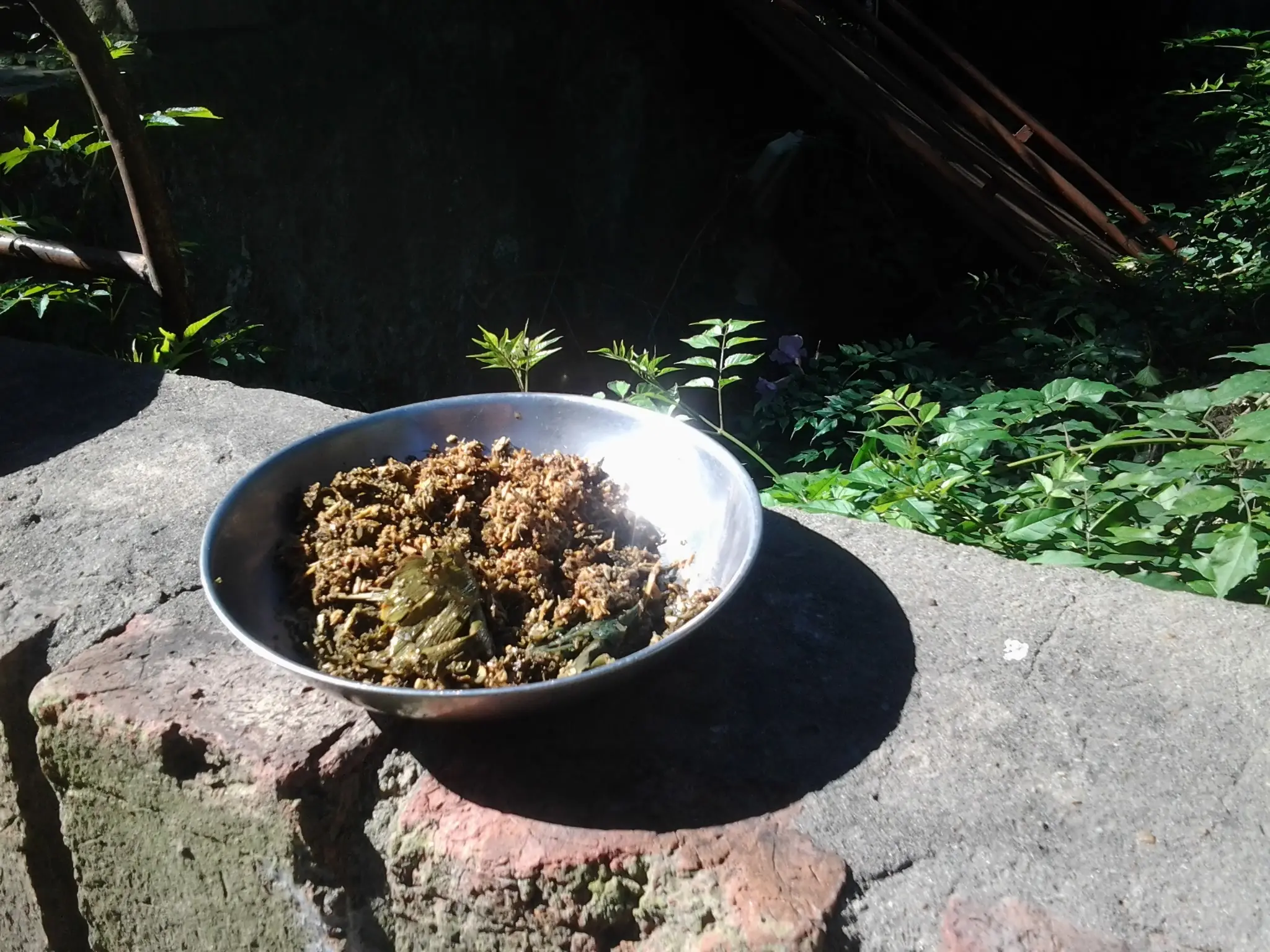 reciclar