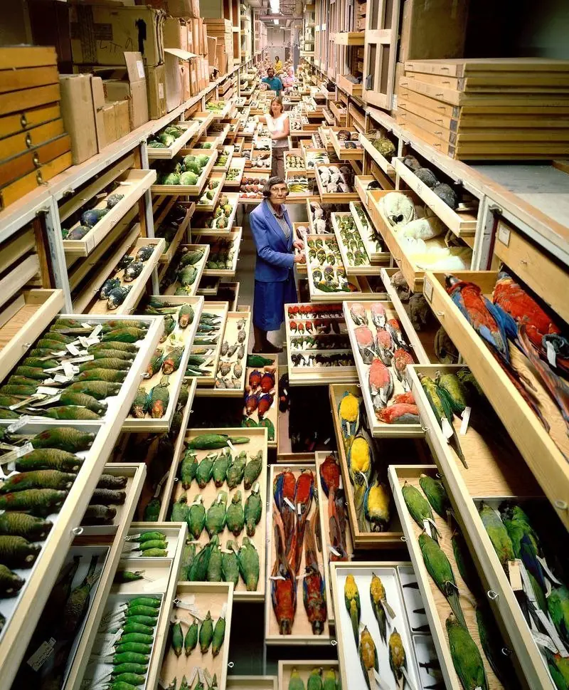 coleccion smithsonian coleccion smithsonian