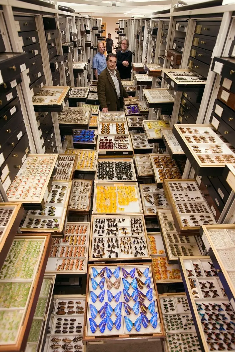 Smithsonian