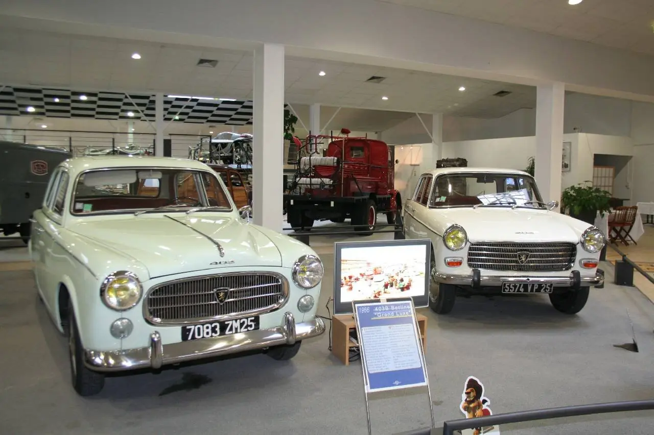 museo museo