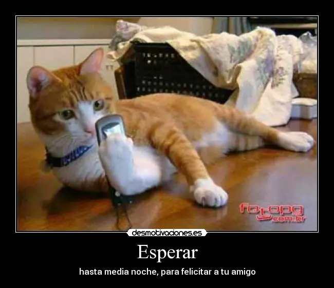 graciosas graciosas