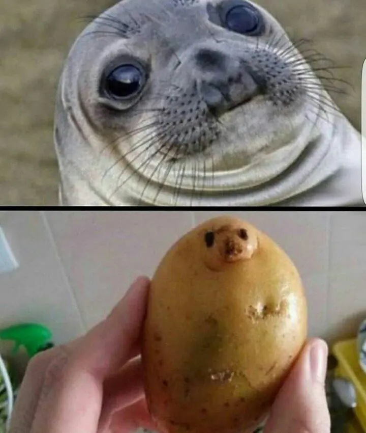 graciosas