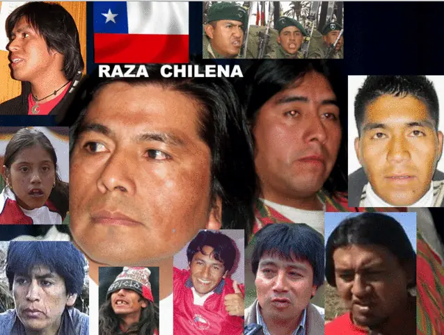 casen 2013 pueblos indigenas