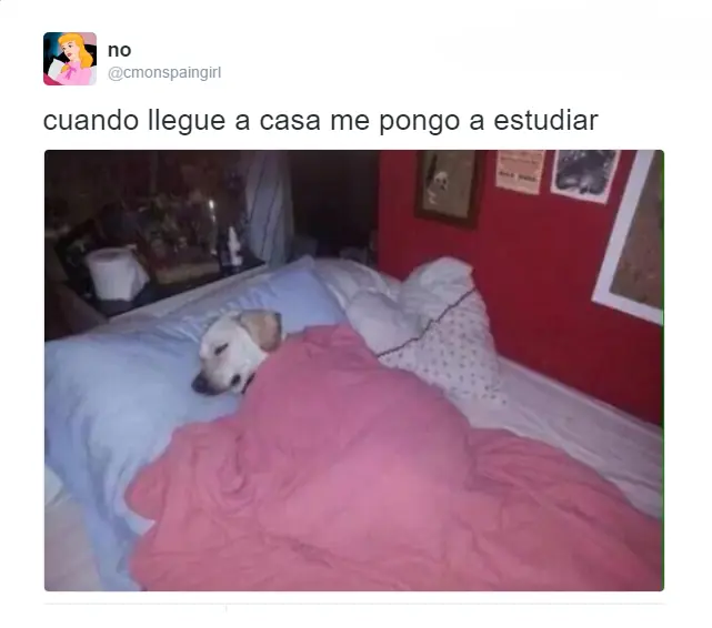 humor
