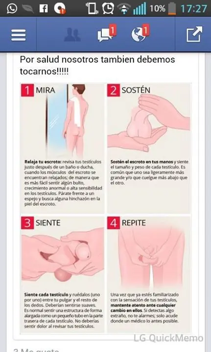 masculinismo masculinismo