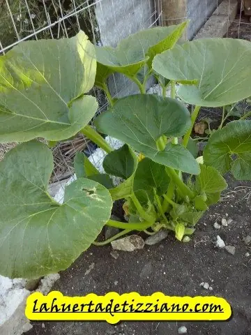 Casero Casero