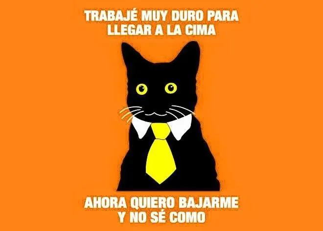 humor