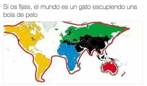 Gatos Haciendo Cosas De Gatos Gifs Y Imagenes