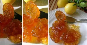 Dulce de limón venezolano