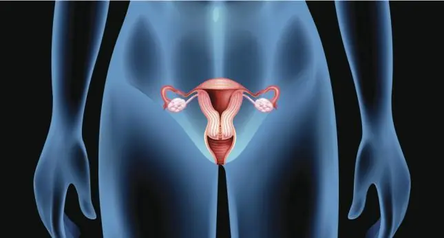 mujer dos vaginas