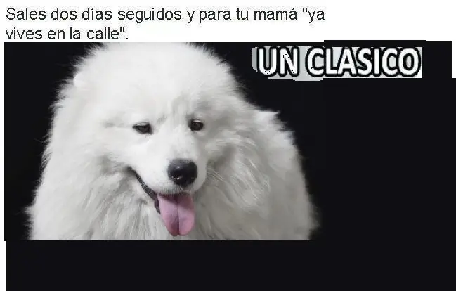 humor