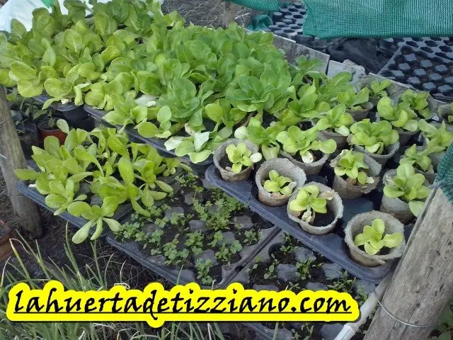 huerta huerta