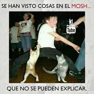 humor