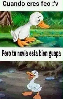 taringa
