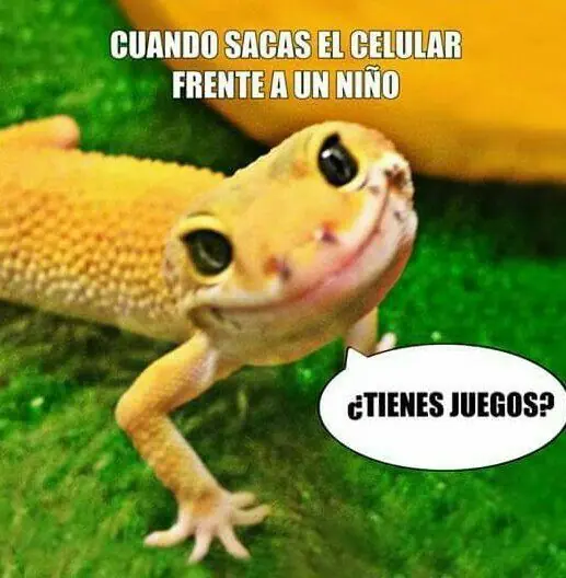 imagenes