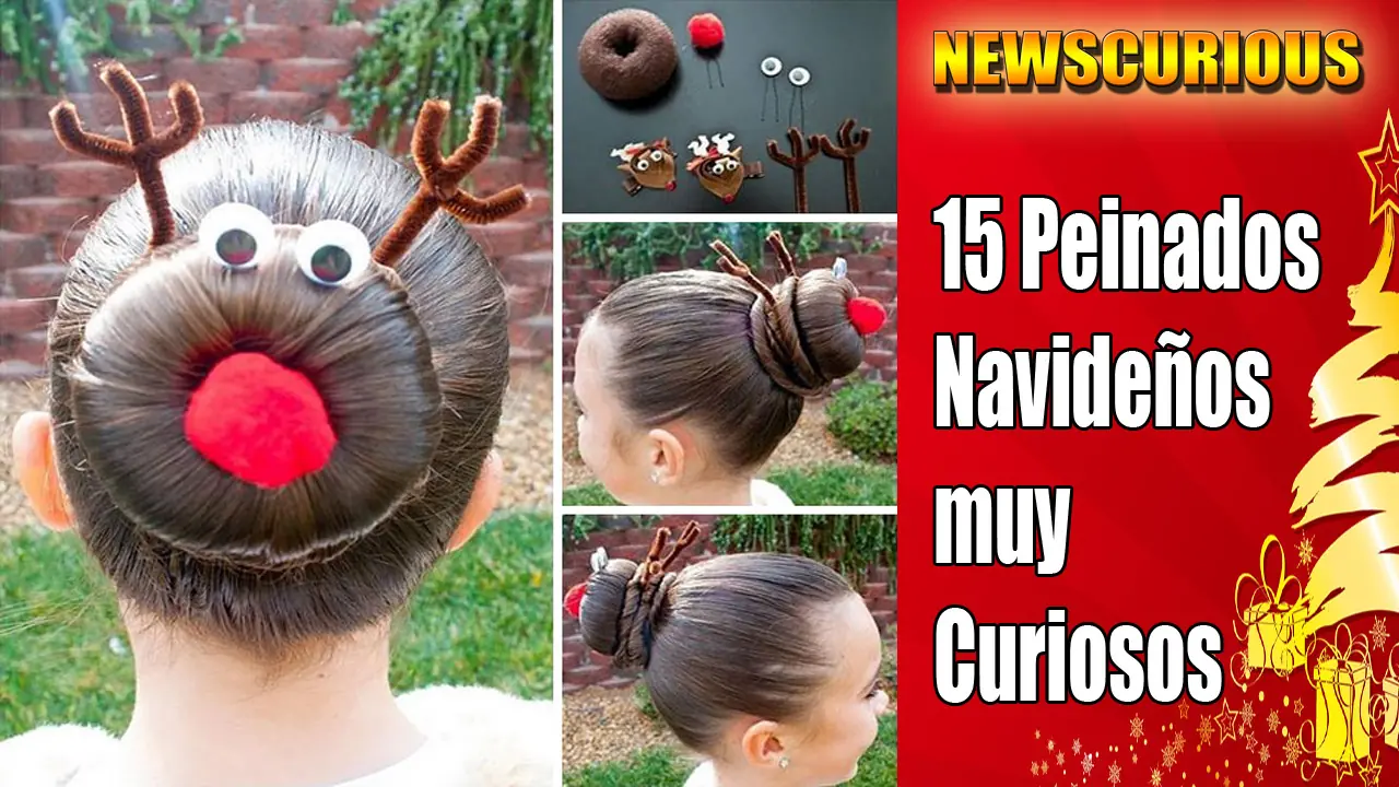 15 Peinados Navideños muy curiosos