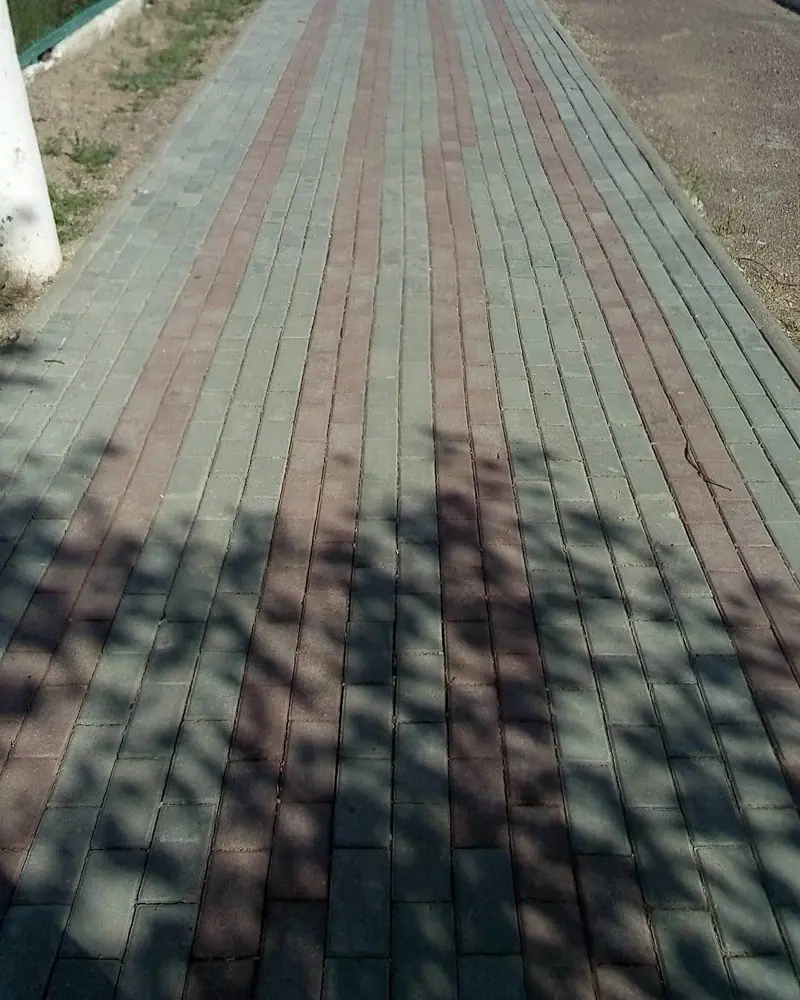 obsesivo compulsivo