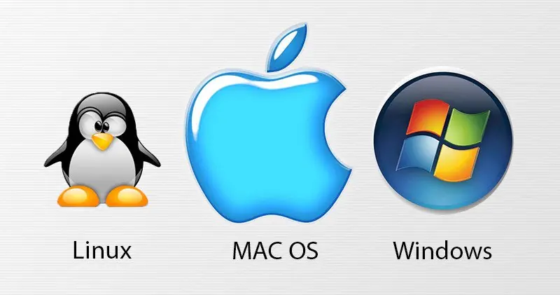 windows