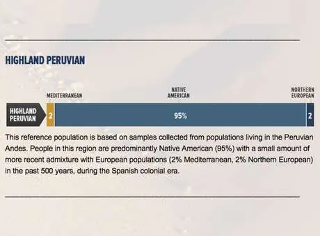 casen 2013 pueblos indigenas