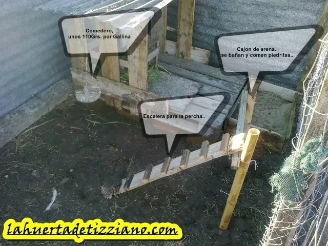 gallinero gallinero