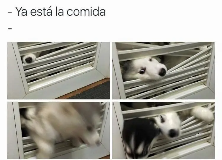 humor