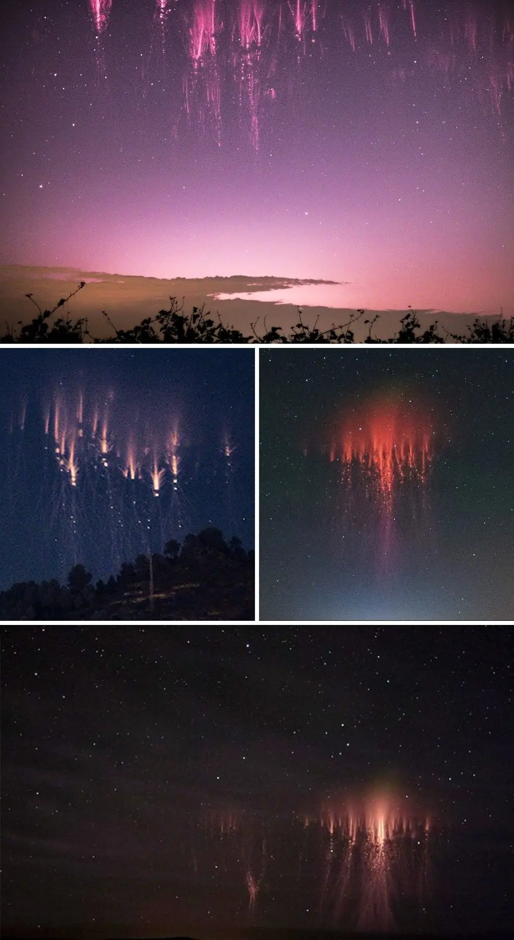 tierra tierra