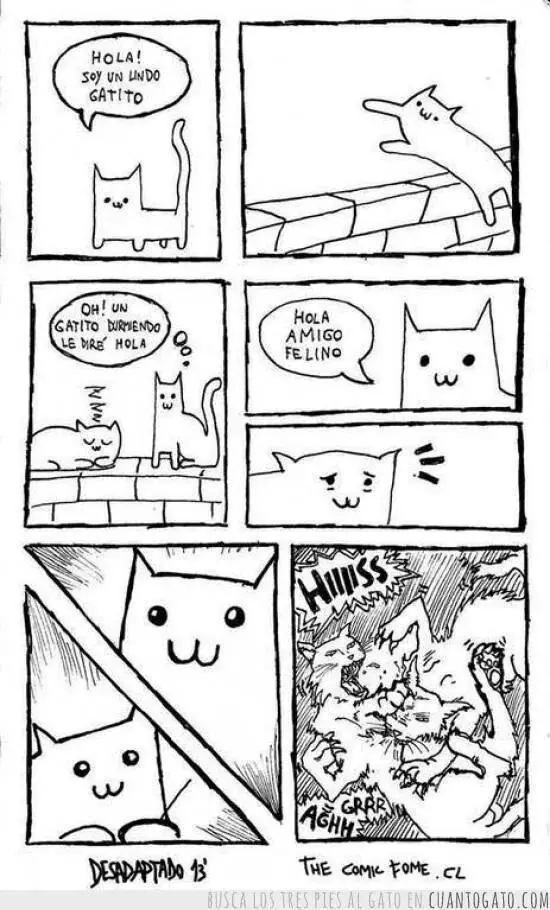 gifs de gatos