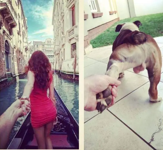 imagenes de humor