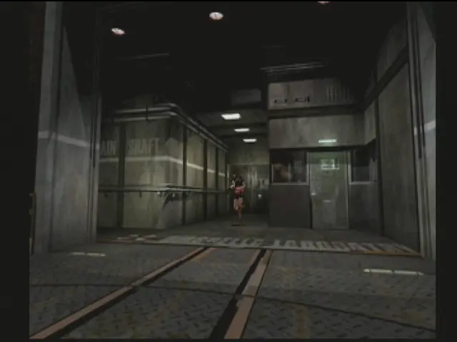 Raccoon City