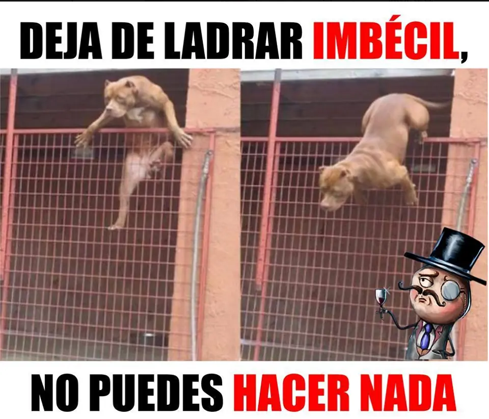 este post fue aprobado por Alexander Hleb
